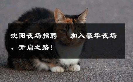 沈阳夜场招聘 _ 加入豪华夜场，开启之路！
