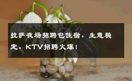 拉萨夜场招聘包住宿，生意稳定，KTV招聘火爆！