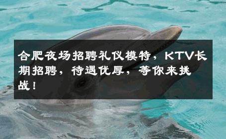 合肥夜场招聘礼仪模特，KTV长期招聘，待遇优厚，等你来挑战！