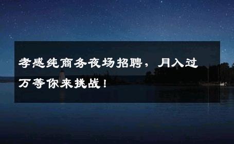 孝感纯商务夜场招聘，月入过万等你来挑战！