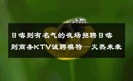 日喀则有名气的夜场招聘日喀则商务KTV诚聘模特—火热来袭
