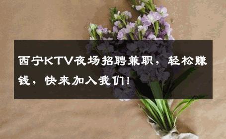 西宁KTV夜场招聘兼职，轻松赚钱，快来加入我们！