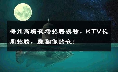 梅州高端夜场招聘模特，KTV长期招聘，赚翻你的夜！