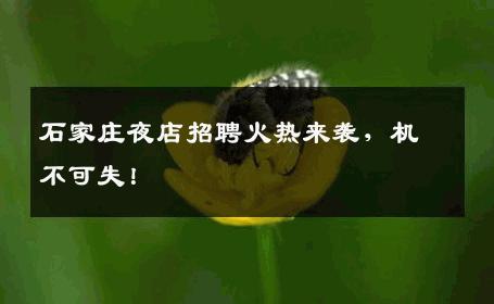 石家庄夜店招聘火热来袭，机不可失！