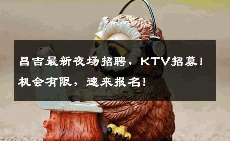 昌吉最新夜场招聘，KTV招募！机会有限，速来报名！