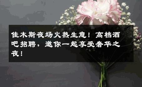 佳木斯夜场火热生意！高档酒吧招聘，邀你一起享受奢华之夜！