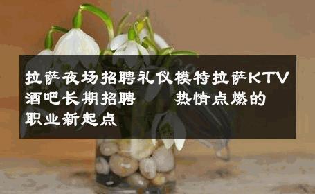 拉萨夜场招聘礼仪模特拉萨KTV酒吧长期招聘——热情点燃的职业新起点