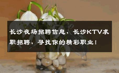 长沙夜场招聘信息，长沙KTV求职招聘，寻找你的精彩职业！