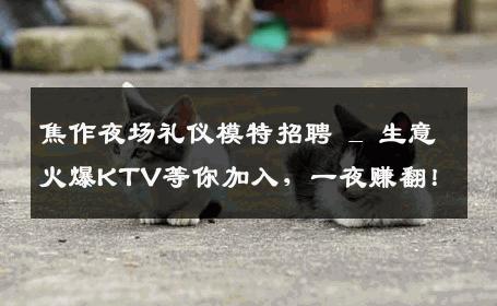 焦作夜场礼仪模特招聘 _ 生意火爆KTV等你加入，一夜赚翻！