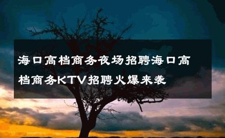 海口高档商务夜场招聘海口高档商务KTV招聘火爆来袭