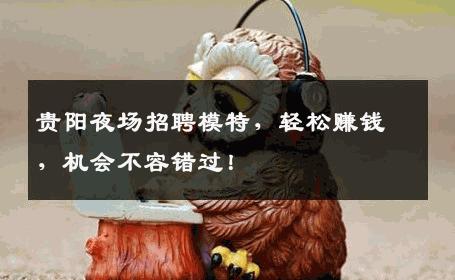 贵阳夜场招聘模特，轻松赚钱，机会不容错过！