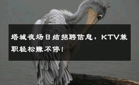 塔城夜场日结招聘信息，KTV兼职轻松赚不停！