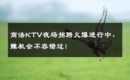商洛KTV夜场招聘火爆进行中，赚机会不容错过！
