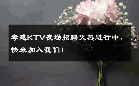 孝感KTV夜场招聘火热进行中，快来加入我们！