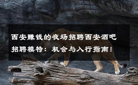 西安赚钱的夜场招聘西安酒吧招聘模特：机会与入行指南！