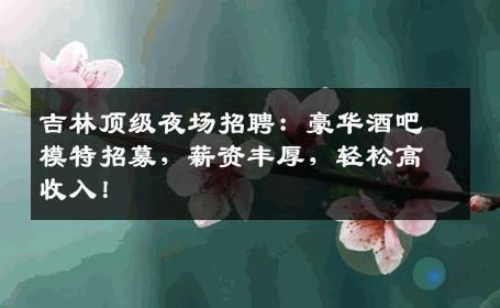 吉林顶级夜场招聘：豪华酒吧模特招募，薪资丰厚，轻松高收入！