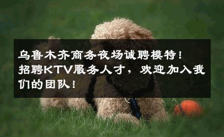 乌鲁木齐商务夜场诚聘模特！招聘KTV服务人才，欢迎加入我们的团队！