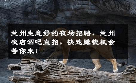 兰州生意好的夜场招聘，兰州夜店酒吧直招，快速赚钱机会等你来！