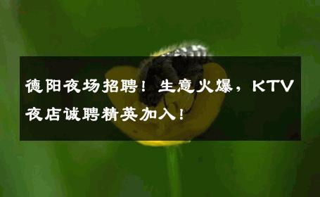 德阳夜场招聘！生意火爆，KTV夜店诚聘精英加入！