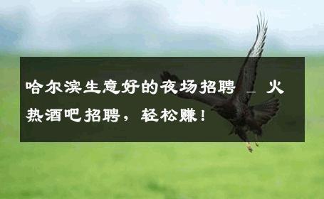 哈尔滨生意好的夜场招聘 _ 火热酒吧招聘，轻松赚！