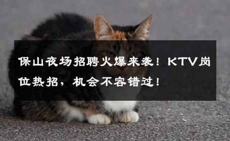保山夜场招聘火爆来袭！KTV岗位热招，机会不容错过！