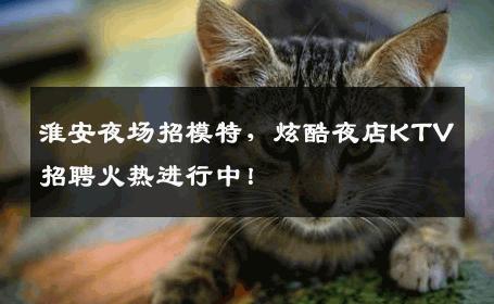 淮安夜场招模特，炫酷夜店KTV招聘火热进行中！