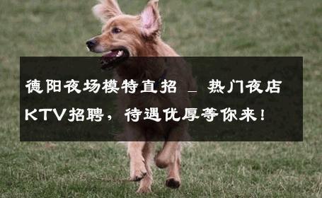 德阳夜场模特直招 _ 热门夜店KTV招聘，待遇优厚等你来！