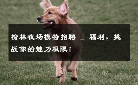 榆林夜场模特招聘 _ 福利，挑战你的魅力极限！