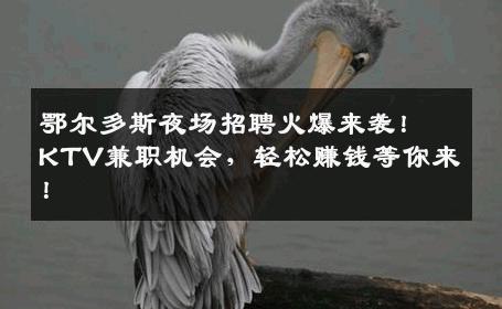 鄂尔多斯夜场招聘火爆来袭！KTV兼职机会，轻松赚钱等你来！
