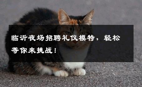 临沂夜场招聘礼仪模特，轻松等你来挑战！