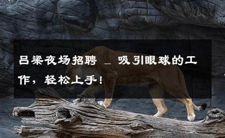 吕梁夜场招聘 _ 吸引眼球的工作，轻松上手！