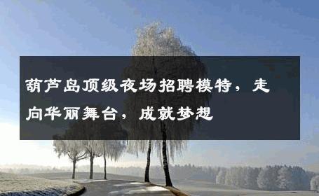 葫芦岛顶级夜场招聘模特，走向华丽舞台，成就梦想
