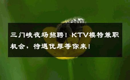 三门峡夜场招聘！KTV模特兼职机会，待遇优厚等你来！