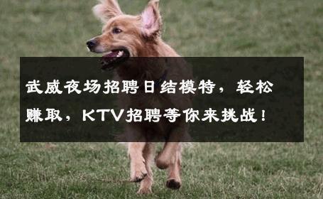 武威夜场招聘日结模特，轻松赚取，KTV招聘等你来挑战！