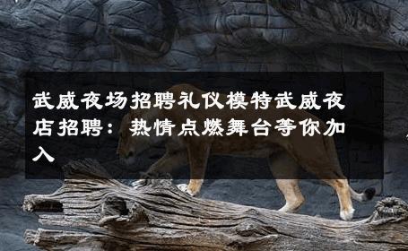 武威夜场招聘礼仪模特武威夜店招聘：热情点燃舞台等你加入