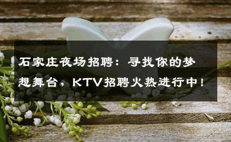 石家庄夜场招聘：寻找你的梦想舞台，KTV招聘火热进行中！