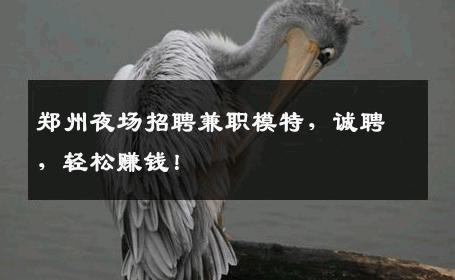 郑州夜场招聘兼职模特，诚聘，轻松赚钱！