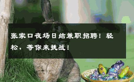 张家口夜场日结兼职招聘！轻松，等你来挑战！