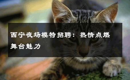 西宁夜场模特招聘：热情点燃舞台魅力