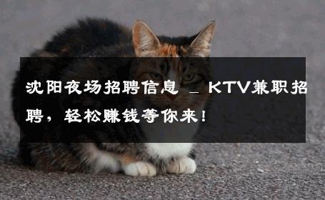 沈阳夜场招聘信息 _ KTV兼职招聘，轻松赚钱等你来！