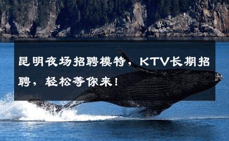 昆明夜场招聘模特，KTV长期招聘，轻松等你来！
