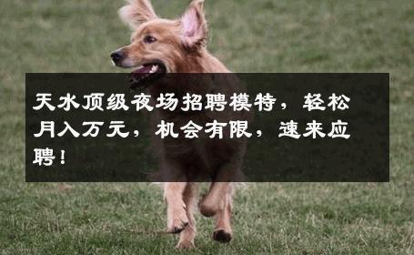天水顶级夜场招聘模特，轻松月入万元，机会有限，速来应聘！