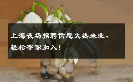 上海夜场招聘信息火热来袭，轻松等你加入！