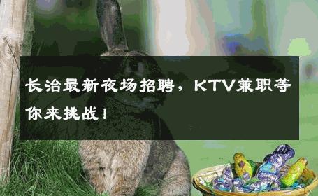 长治最新夜场招聘，KTV兼职等你来挑战！