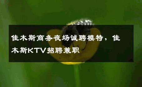 佳木斯商务夜场诚聘模特，佳木斯KTV招聘兼职