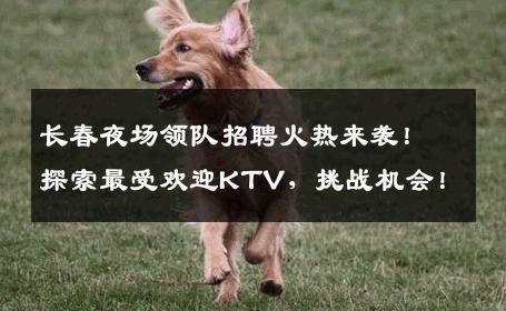 长春夜场领队招聘火热来袭！探索最受欢迎KTV，挑战机会！