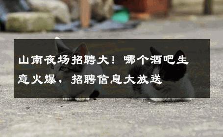 山南夜场招聘大！哪个酒吧生意火爆，招聘信息大放送