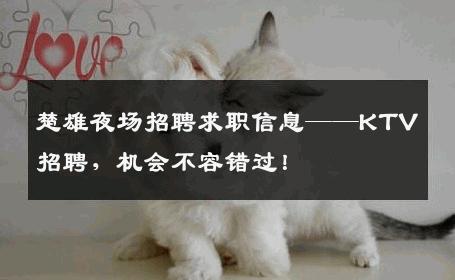 楚雄夜场招聘求职信息——KTV招聘，机会不容错过！
