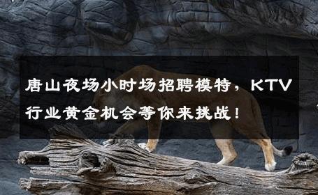 唐山夜场小时场招聘模特，KTV行业黄金机会等你来挑战！