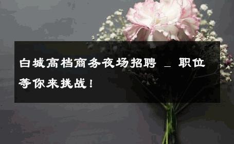 白城高档商务夜场招聘 _ 职位等你来挑战！